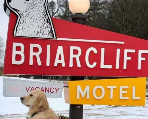 photo of a dog sitting in front of a sign for the Briarcliff Motel.