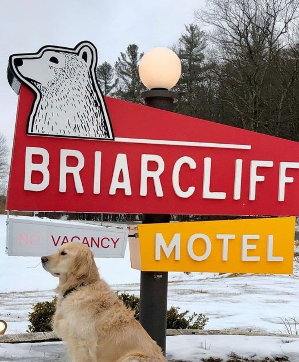 photo of a dog sitting in front of a sign for the Briarcliff Motel.