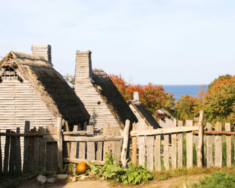 Thatch houses line up on a beautiful day at Plimoth Patuxet Museum.